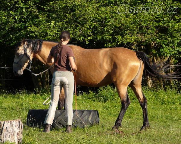 Práce ze země, stoupnutí do pneumatiky