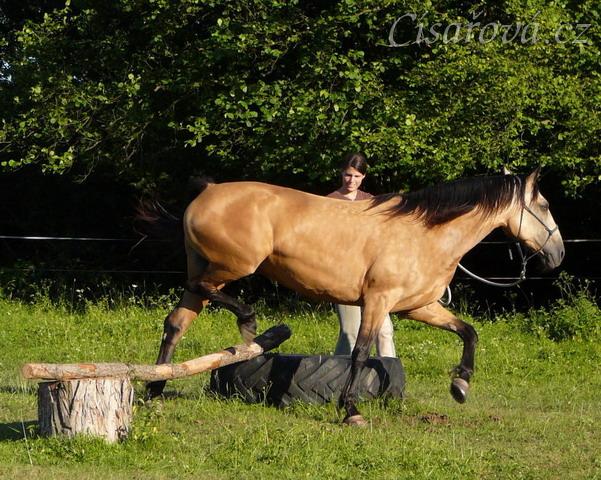 Práce ze země, překlusání přes skok