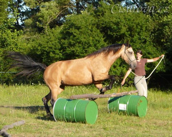 Práce ze země, skočení přes překážku