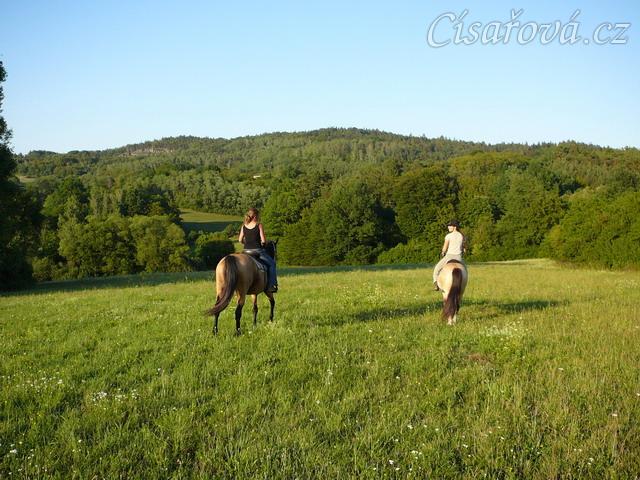 Keisy na vyjížďce se svou majitelkou