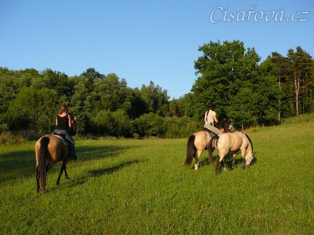 Keisy na vyjížďce se svou majitelkou, jeden koník je na volno
