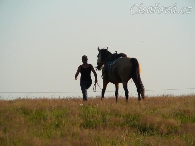 Keisy na vyjížďce se svou majitelkou, pěšky domů