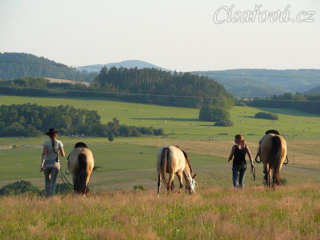 Keisy na vyjížďce se svou majitelkou, okolí Vysokého Újezda