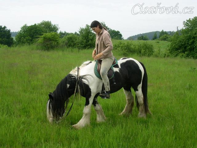 Vyjížďka - odměna pasením