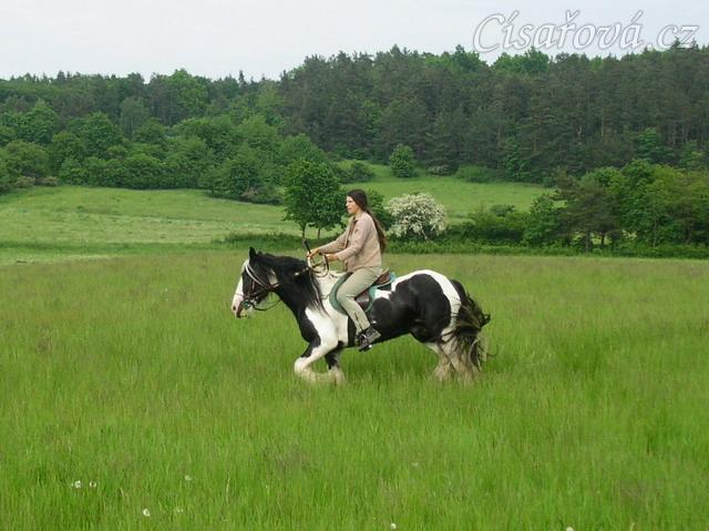 Vyjížďka - klus
