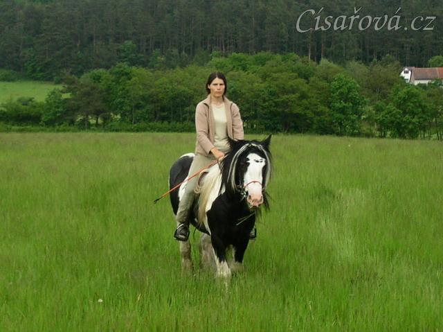 Vyjížďka - krok směrem ke koním