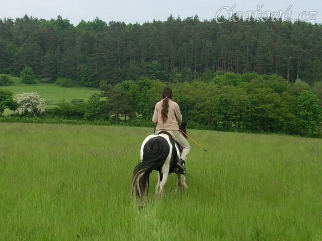 Vyjížďka - krok směrem od koní
