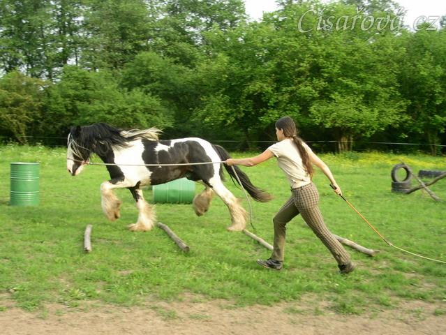 7 her podle Pata Parelli - překlusání kavalet (7.hra - stlačovací neboli prostorová)